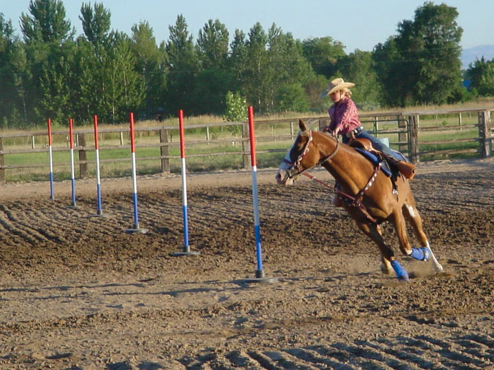 Load image into Gallery viewer, Pole Bending Bases - Set of 6
