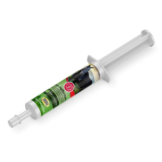 Silver Lining Post Performance Paste for Horses - 120 cc