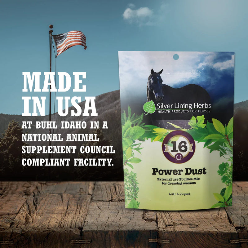 Load image into Gallery viewer, Silver Lining Power Dust for Horses - 1 LB
