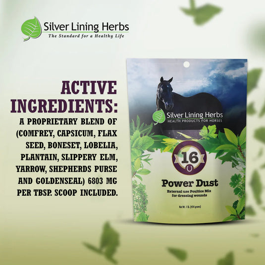Silver Lining Power Dust for Horses - 1 LB