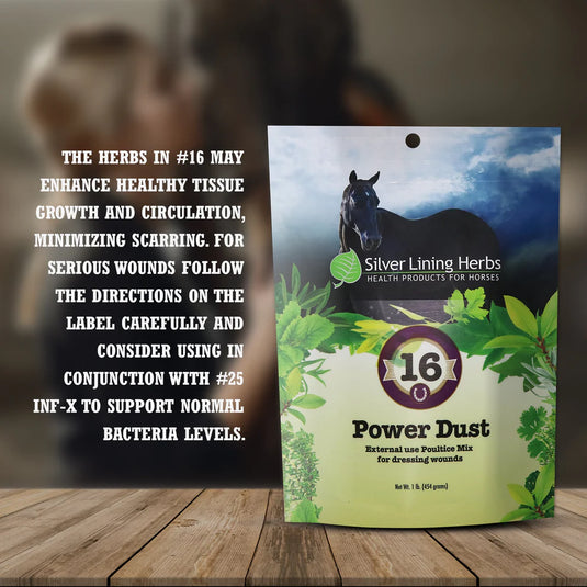 Silver Lining Power Dust for Horses - 1 LB