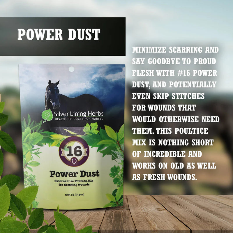 Load image into Gallery viewer, Silver Lining Power Dust for Horses - 1 LB
