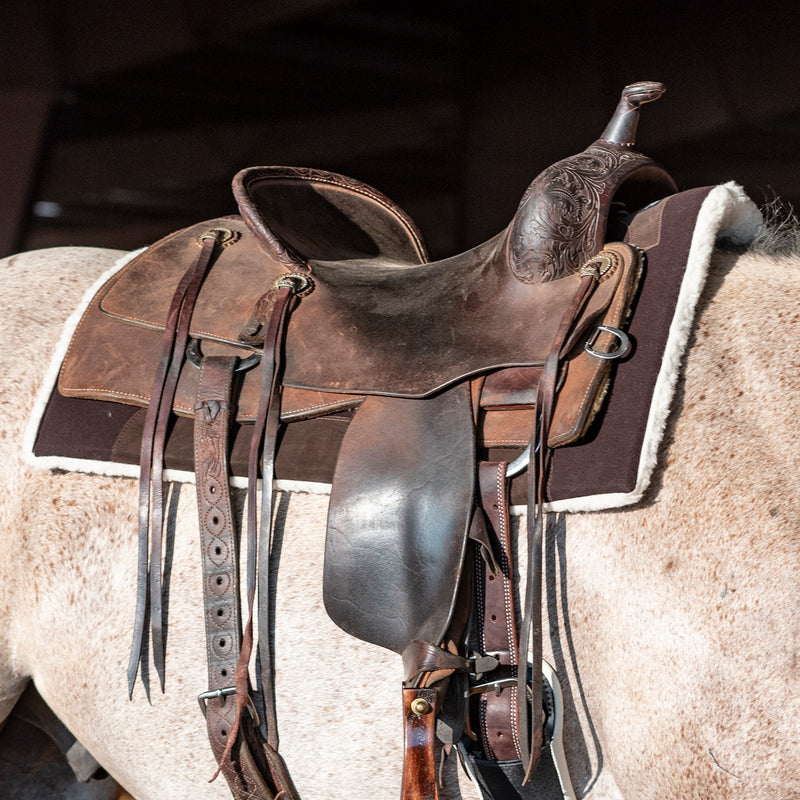 Load image into Gallery viewer, Classic Equine Performance Trainer Felt Top  Pad - 31x32
