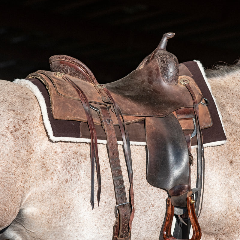 Load image into Gallery viewer, Classic Equine Performance Trainer Felt Top  Pad - 31x32
