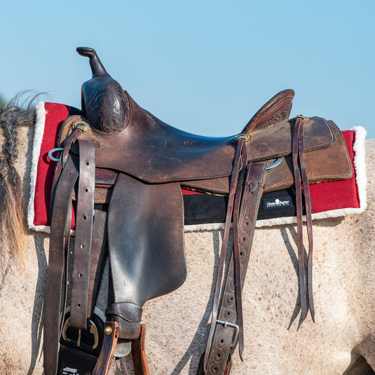 Classic Equine Performance Trainer Felt Top  Pad - 31x32
