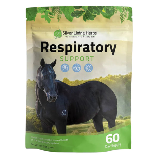 Silver Lining Respiratory Support for Horses - 1 LB