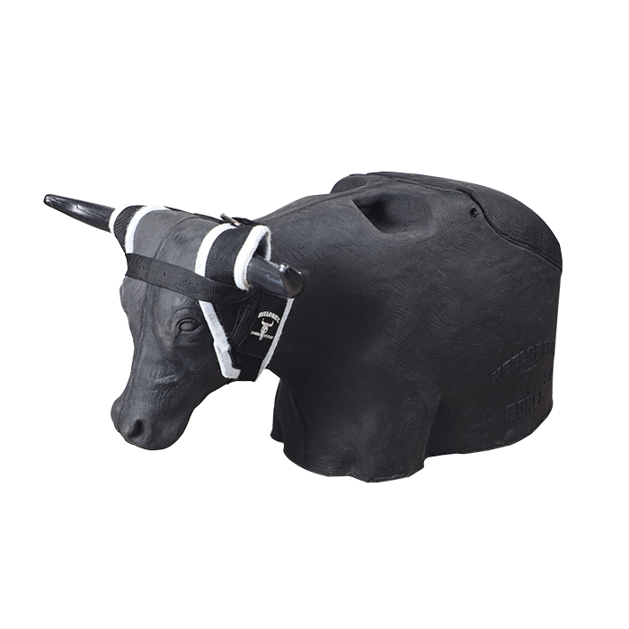 Load image into Gallery viewer, Smarty Rodeo | Bones 2.0
