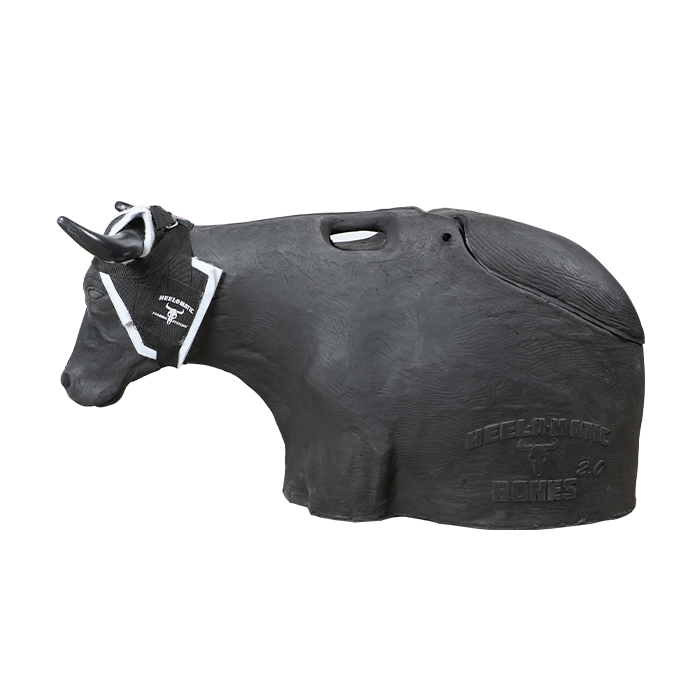 Load image into Gallery viewer, Smarty Rodeo | Bones 2.0
