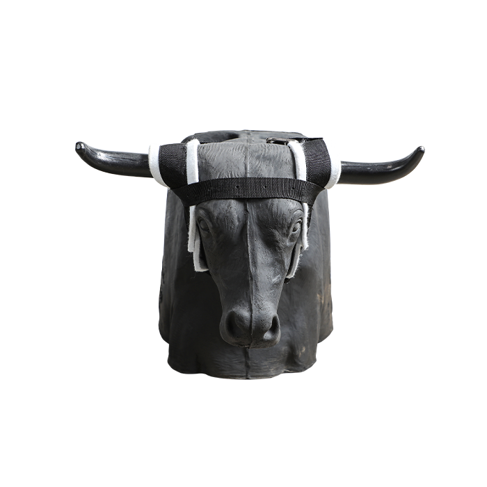 Load image into Gallery viewer, Smarty Rodeo | Bones 2.0
