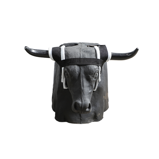 Smarty Rodeo | Bones 2.0