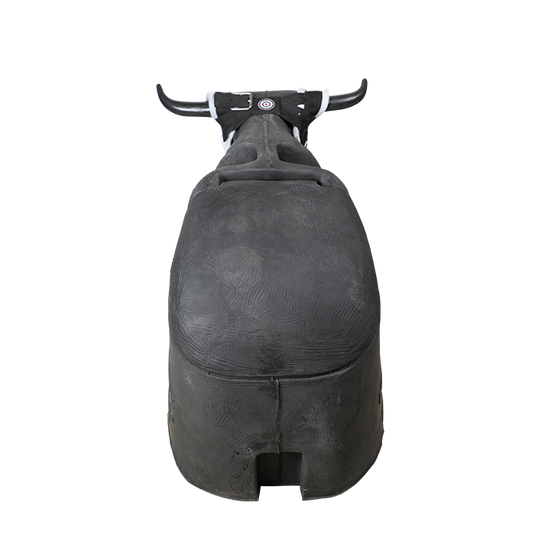 Smarty Rodeo | Bones 2.0