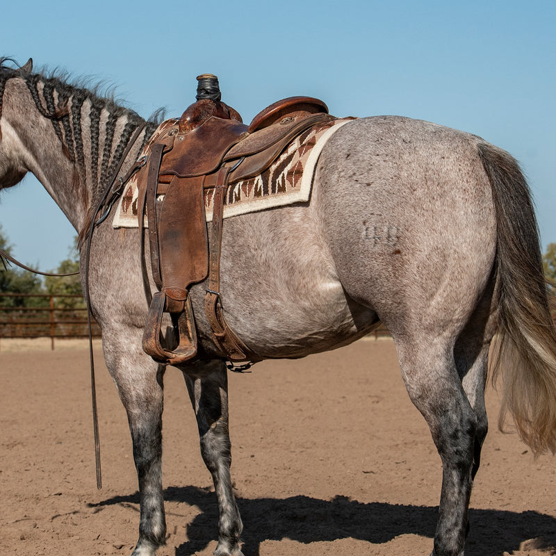 Load image into Gallery viewer, Classic Equine Show Blanket - 34x38
