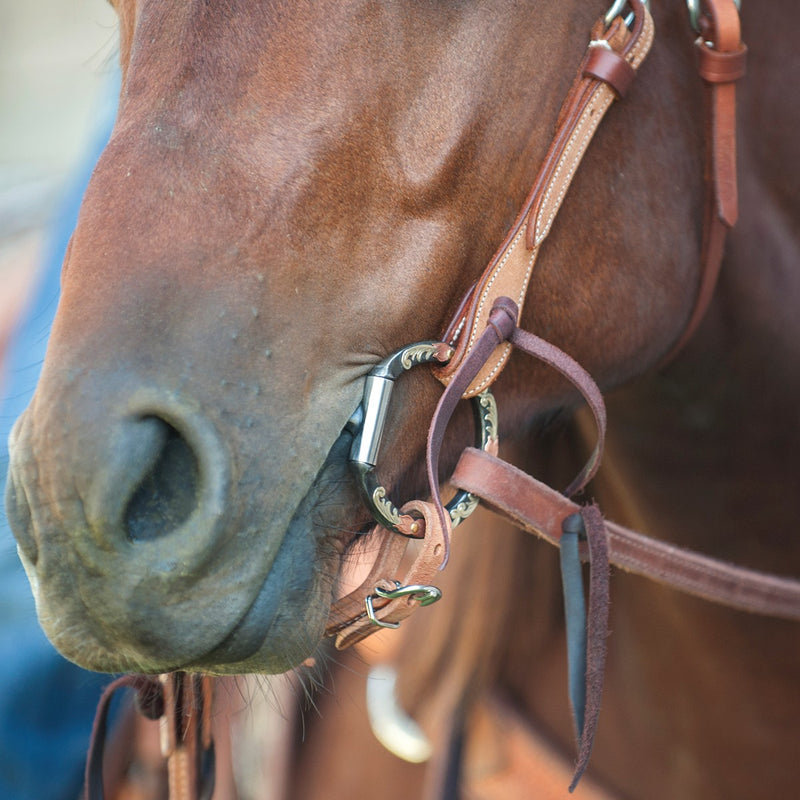 Load image into Gallery viewer, Classic Equine Tool Box Browned Iron D-Ring Twisted Wire Snaffle Bit
