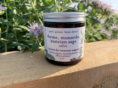 Load image into Gallery viewer, Laka Herb Farm Thyme, Monarda, Austrian Sage Salve
