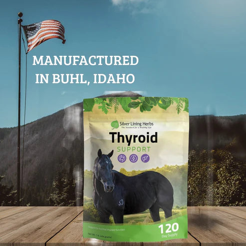 Silver Lining Thyroid Support for Horses - 1 LB