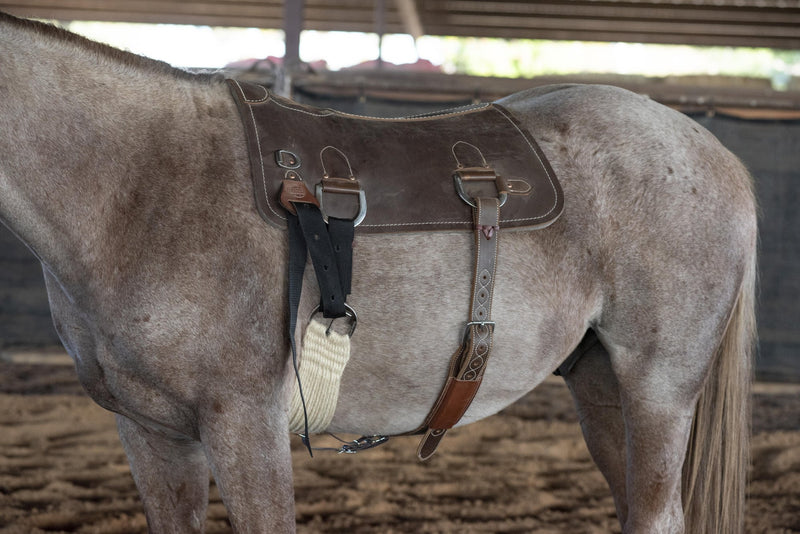 Load image into Gallery viewer, Martin Saddlery Colt Starting Training Pad
