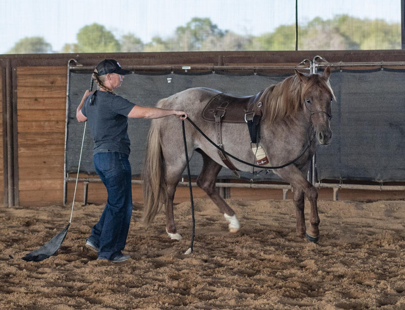 Load image into Gallery viewer, Martin Saddlery Colt Starting Training Pad
