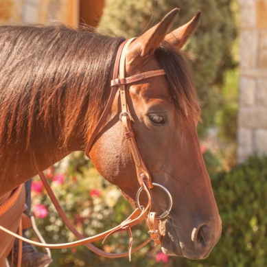 Load image into Gallery viewer, Martin Browband Roughout Headstall - Natural
