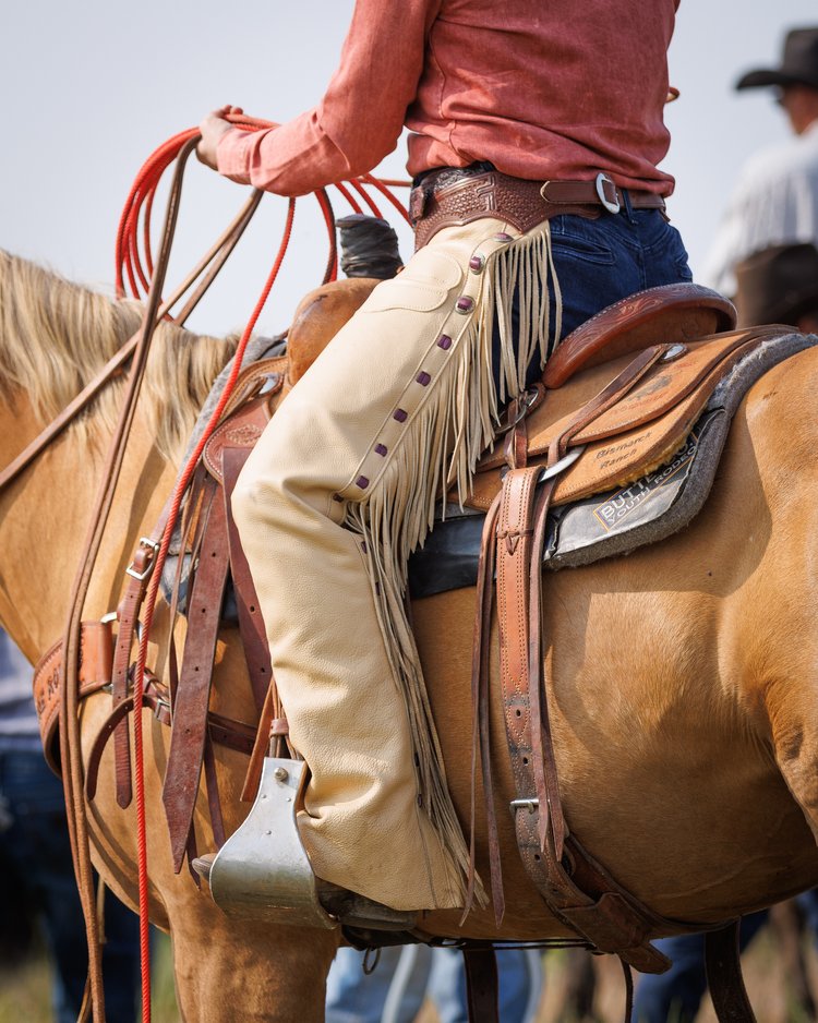 Load image into Gallery viewer, Borderline Versatility Chaps
