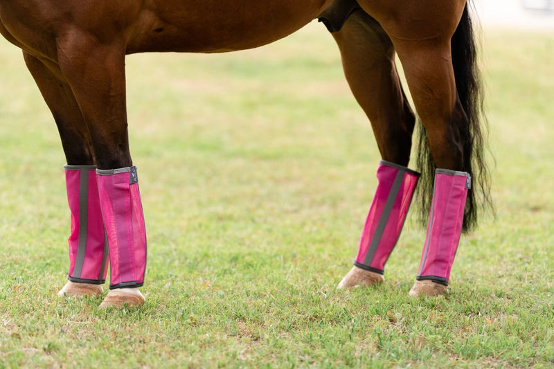 Load image into Gallery viewer, Professional's Choice Deluxe Fly Boots
