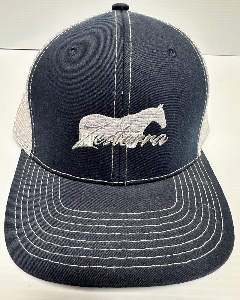 Load image into Gallery viewer, Zesterra Mesh Ball Cap
